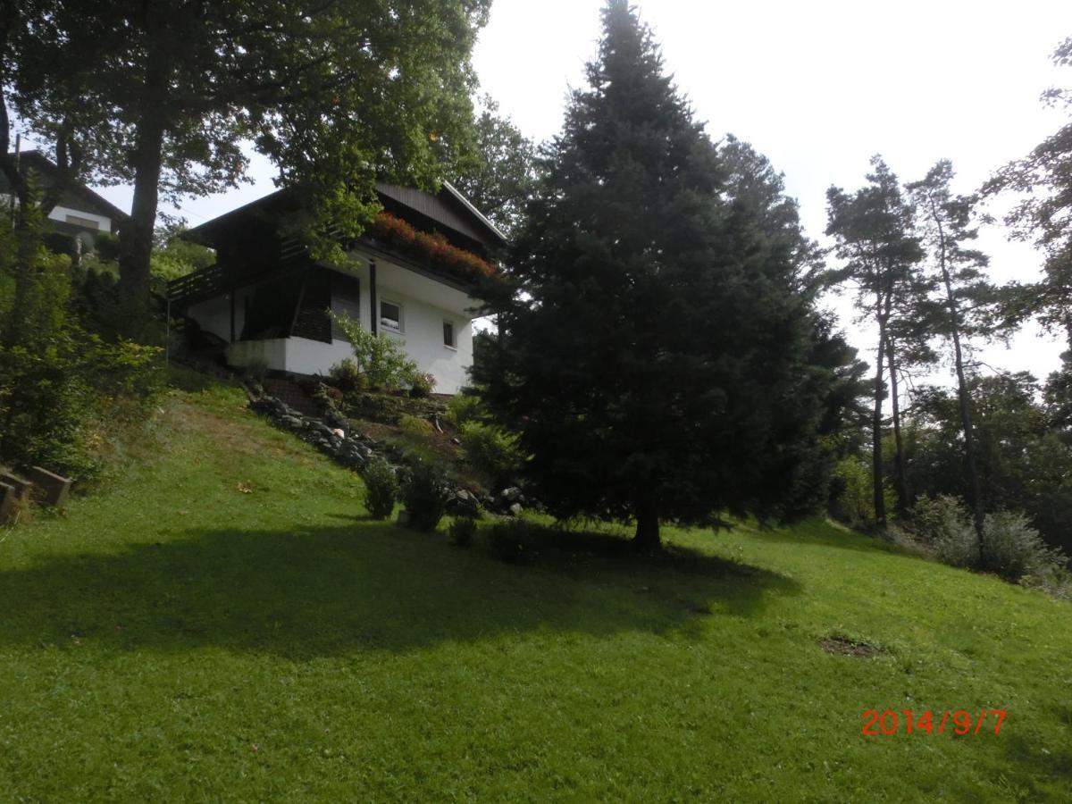 Ferienhaus Im Ederbergland Villa Hatzfeld Buitenkant foto